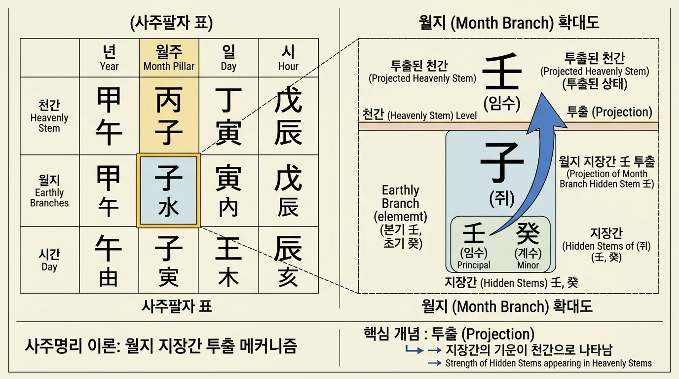 격국 판별법 — 월지 기준, 지장간 투출 원리와 주요 격국 유형 표